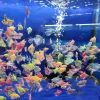 ماهی کالرفیش (Color Fish) | ماهی آکواریومی رنگی آب شیرین فروش به صورت دونه ای