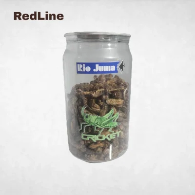 غذای جیرجیرک خشک‌شده Rio Juma